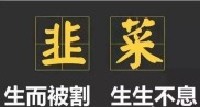看懂庄家割韭菜套路，从股票到郁金香，韭菜是如何被收割的？