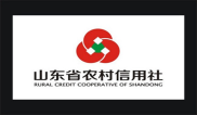 山东省农村信用社网上银行安全控件：保障账户资金安全及多样功能