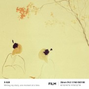 看清房产去金融化三大前提，别再被带偏