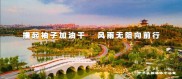 央行征信逾期新规：2020 至 2025 年特定逾期可修复，含逾期罚息等