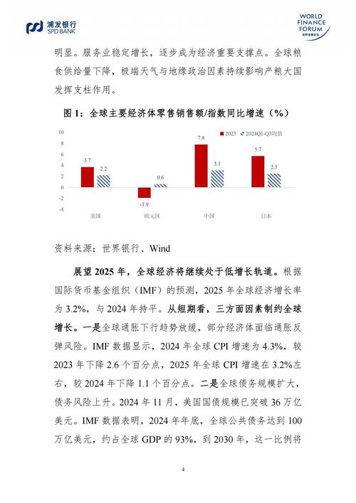 2025年全球经济形势_2025年国际政治局势_2025股民资料