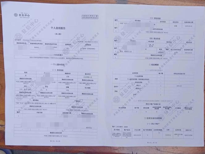 信用报告授权方式_放贷机构数据查询_在线身份验证查询