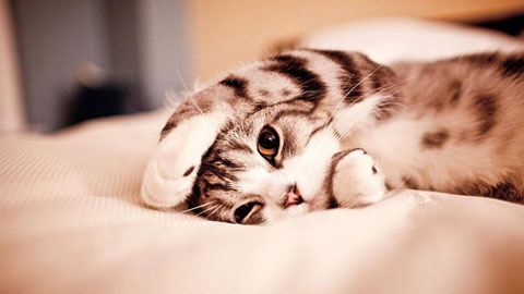 什么叫原始股东_高中生如何挣钱