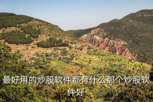 最好用的炒股软件都有什么那个炒股软件好