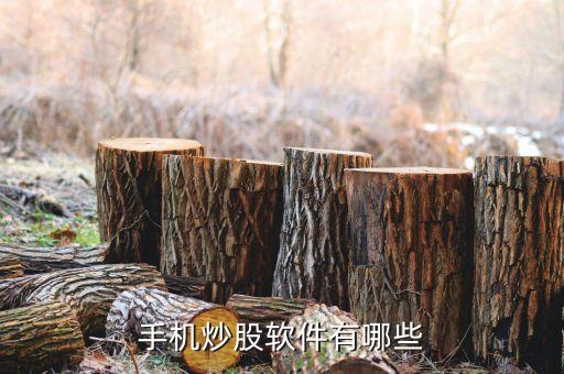 手机炒股软件有哪些