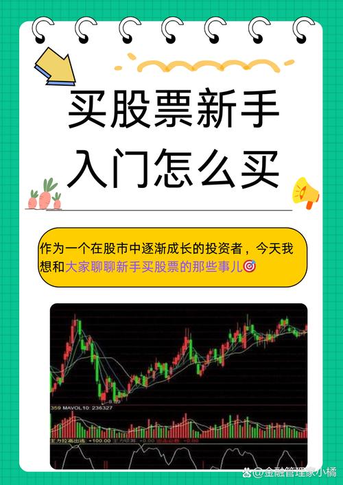 行业前景分析_新股民怎样选股票_价值投资买股票步骤