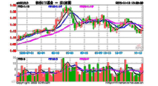 华安中证全指软件开发ETF四季报_华安中证全指软件开发ETF规模变化_金融基金软件开发