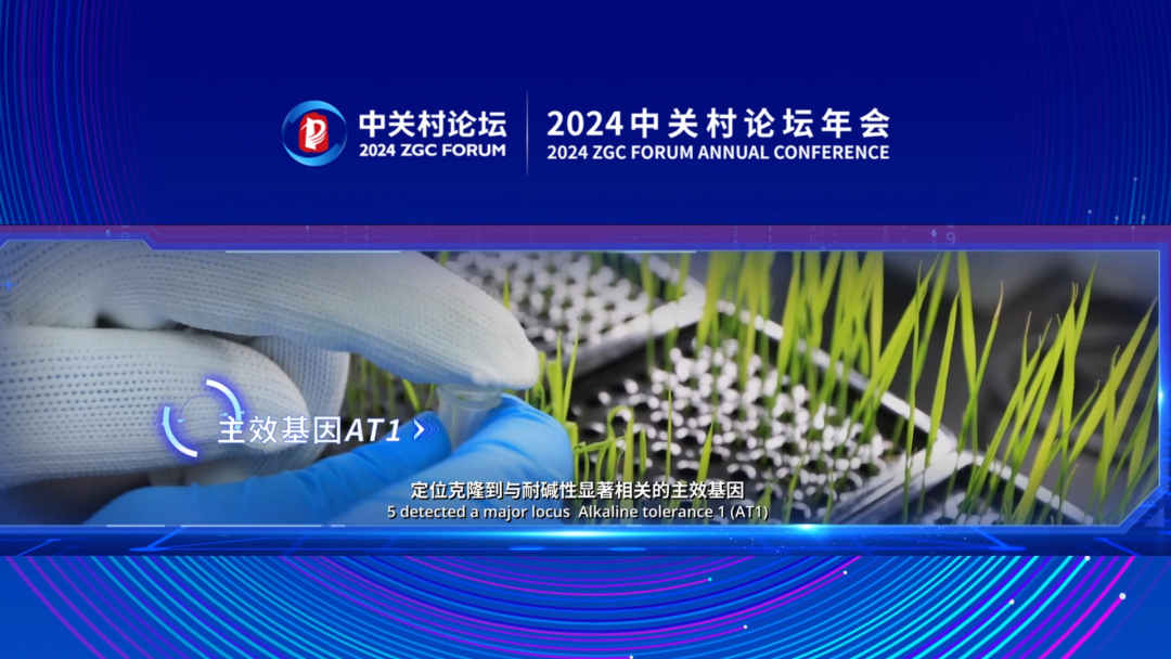 中关村 互联网金融 论坛_中关村世界领先科技园区建设方案 2024中关村论坛年会重大科技成果 全模拟光电智能计算芯片
