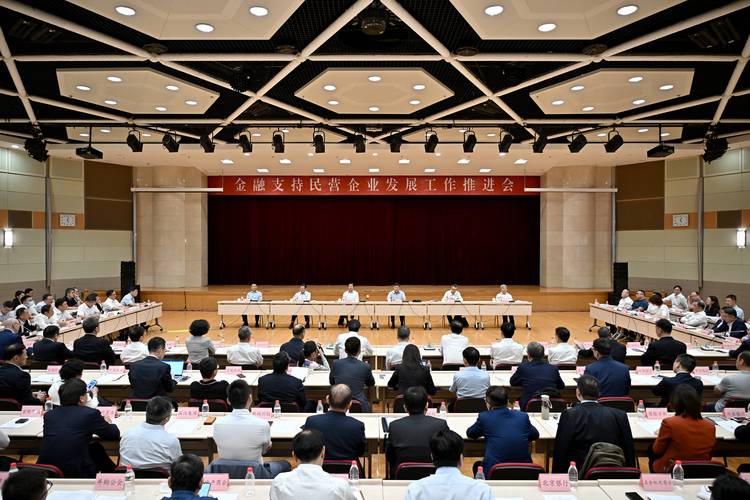金融支持民营企业发展壮大的政策举措_金融发展前景_民营经济发展前景广阔大有可为
