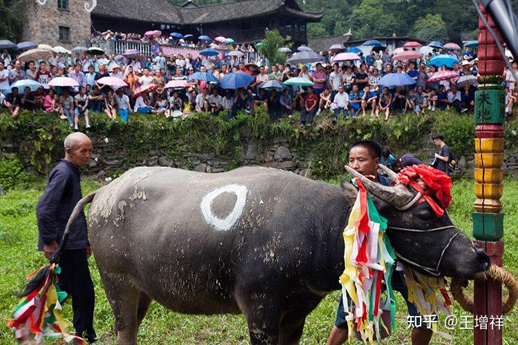 凤凰金融平台_凤凰古城景点介绍_凤凰古城旅游攻略