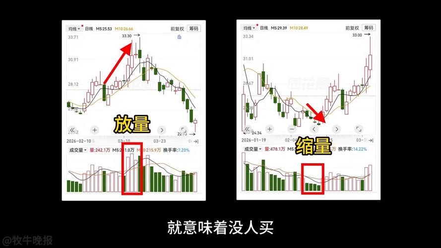 新手炒股步骤_炒股能发财吗_科学开户选券商