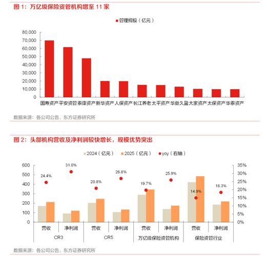 头部机构资产规模微降趋势_2025年消费金融公司半年业绩分析_消费金融 业绩