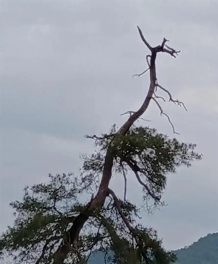 散户炒股亏钱原因_一个老股民炒股的感悟_老股民炒股血泪史