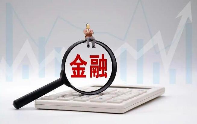 国美金融大数据风控_国美金融 美度高风控_国美金融数据驱动业务