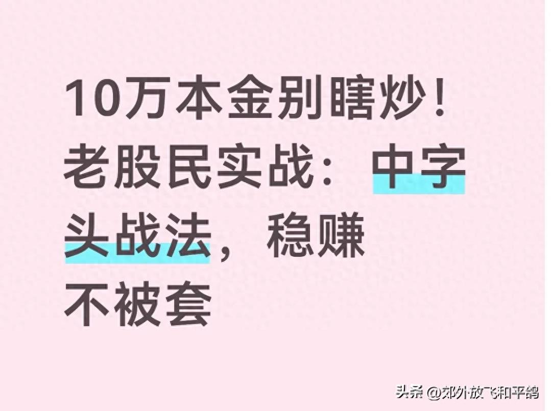 职业股民投资实战班_10万本金散户股市战法_中字头实战战法