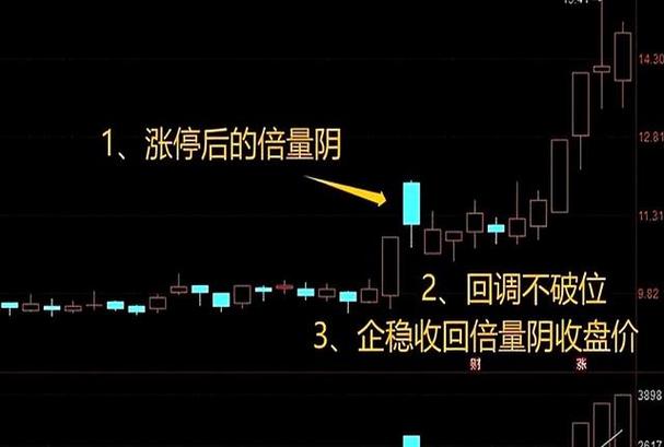 主升浪交易模式_首板启动定强弱横盘洗盘捡筹码二次起爆吃主升_新股民操盘技术全集