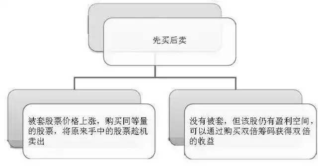 炒作技巧入门新股民必备提高本_只做一只股票_股票T+0操作