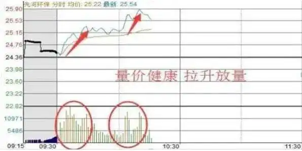 炒作技巧入门新股民必备提高本_股票T+0操作_只做一只股票