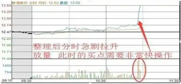 炒作技巧入门新股民必备提高本_股票T+0操作_只做一只股票