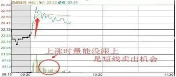 炒作技巧入门新股民必备提高本_股票T+0操作_只做一只股票