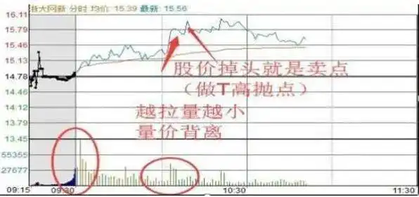 股票T+0操作_只做一只股票_炒作技巧入门新股民必备提高本