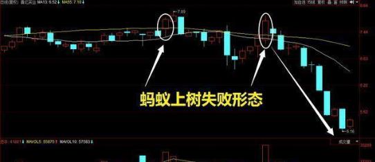 新股民股市致胜必读书_鳄鱼生存策略_鳄鱼投资之道