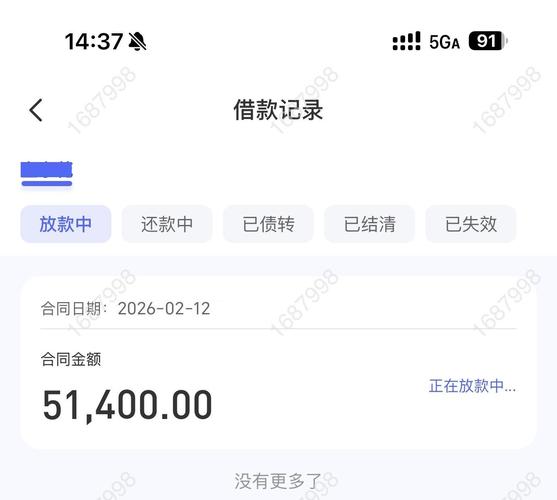 手机租赁非法放贷_违法放贷罪2026年案例_网贷诈骗受害者画像