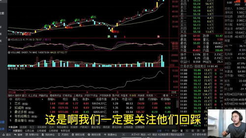 股票如何入门最快