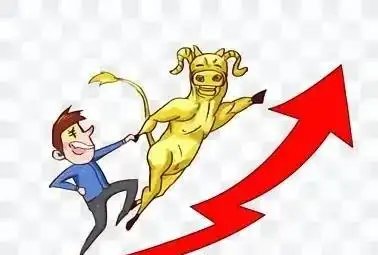 炒股改变命运_回撤_敬畏亏损